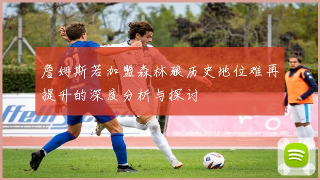 詹姆斯若加盟森林狼历史地位难再提升的深度分析与探讨