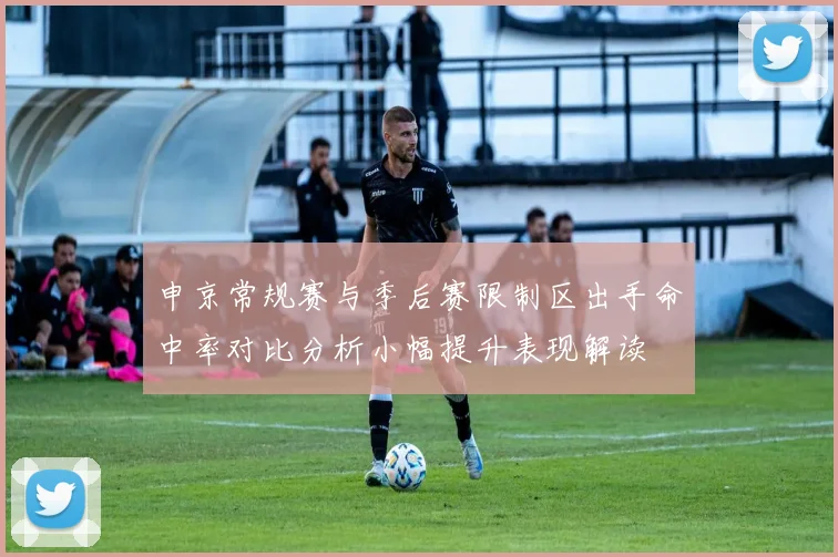 申京常规赛与季后赛限制区出手命中率对比分析小幅提升表现解读