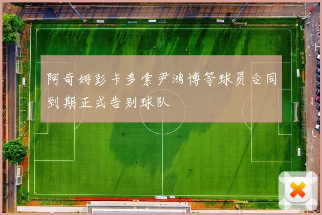 阿奇姆彭卡多索尹鸿博等球员合同到期正式告别球队