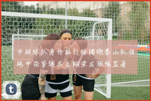 中超球队身价排行榜揭晓泰山队领跑申花紧随其后铜梁龙涨幅显著